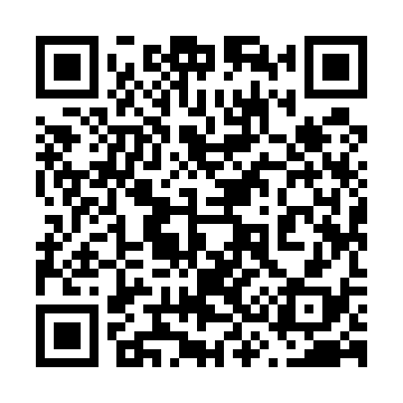 QR code for 639538