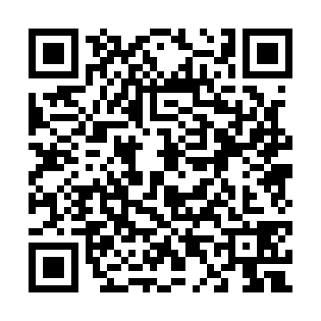 QR code for 6401386