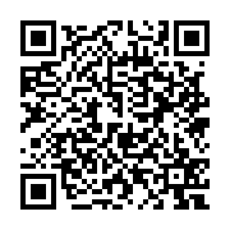 QR code for 6411379