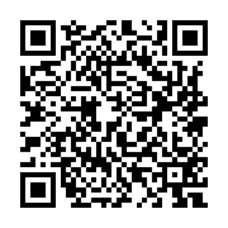 QR code for 6419535