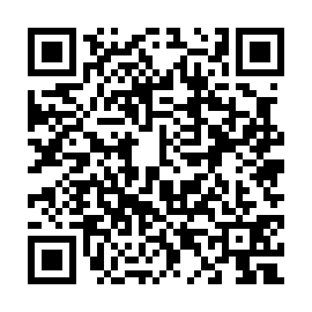QR code for 6450310