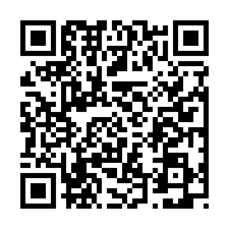 QR code for 6461385