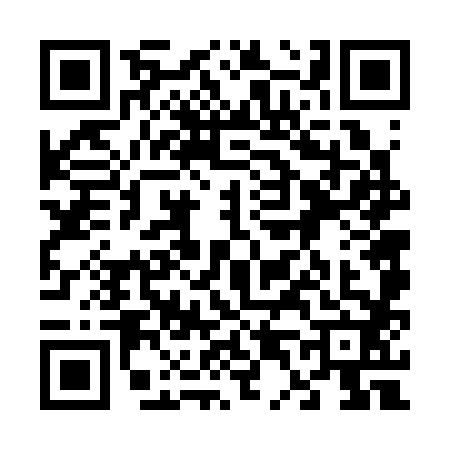QR code for 6463823