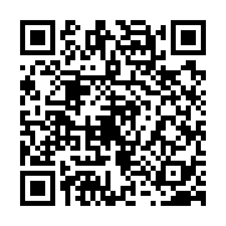QR code for 6497393