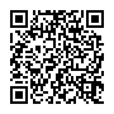 QR code for 6503101