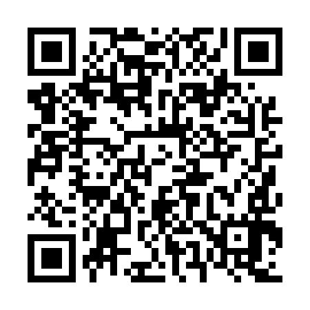 QR code for 650597