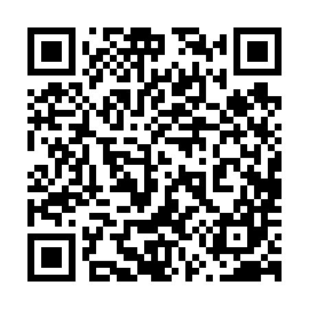 QR code for 650687