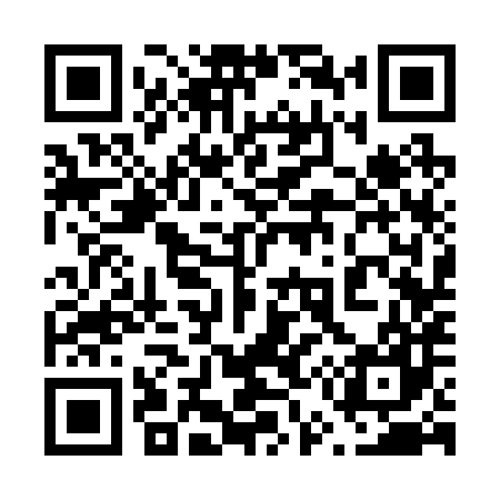 QR code for 653287