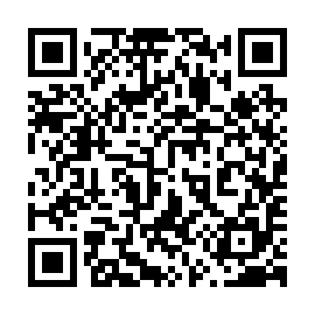QR code for 653295