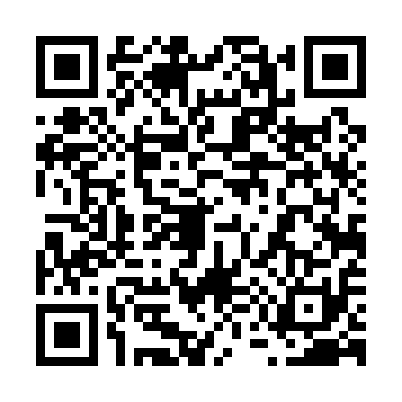 QR code for 6541119