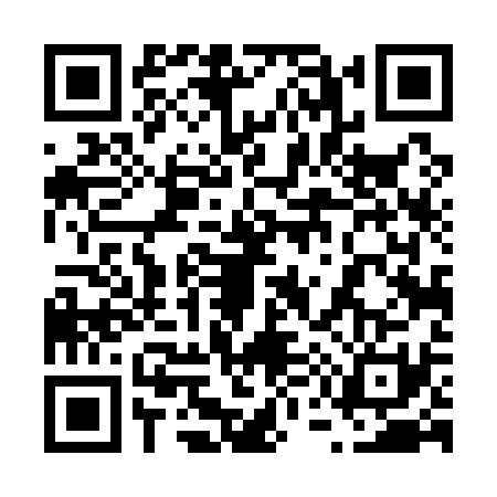 QR code for 6541315