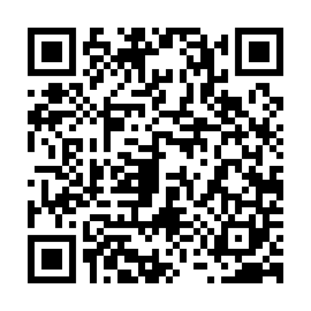 QR code for 6541410