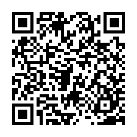 QR code for 6573843