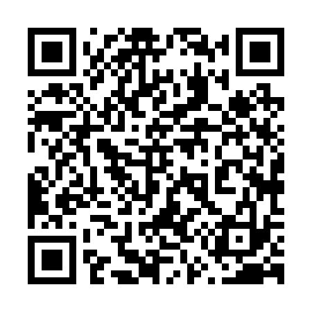 QR code for 658233