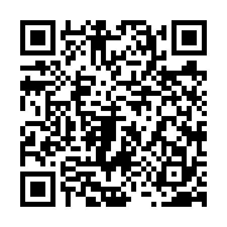QR code for 6586321