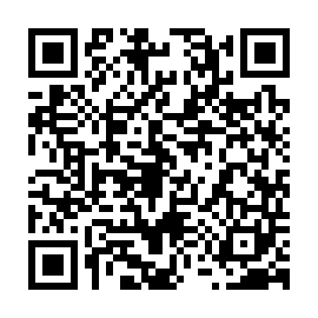 QR code for 6593419