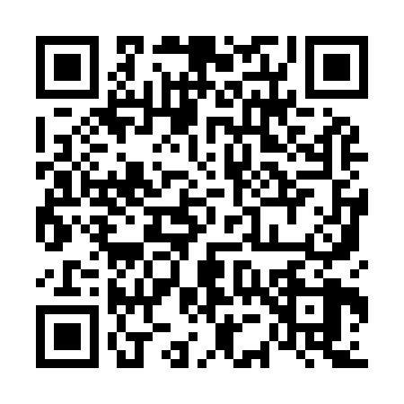 QR code for 6599288