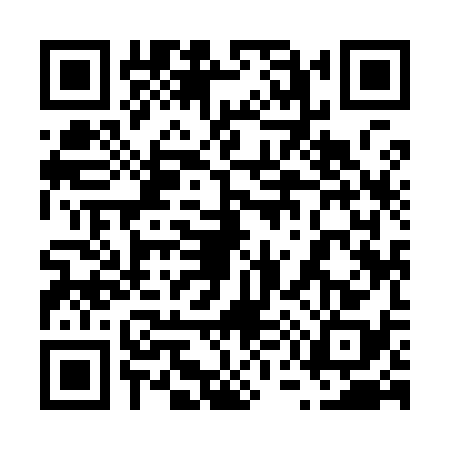 QR code for 6599380