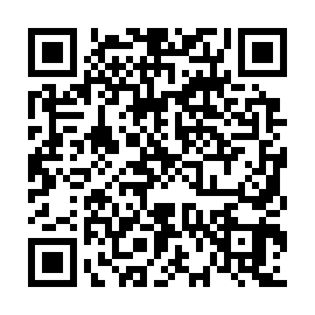 QR code for 6613411