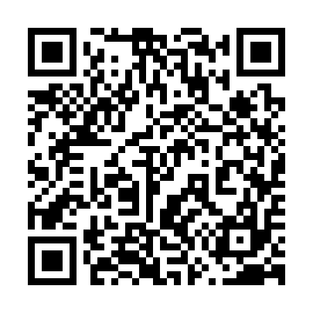 QR code for 673317