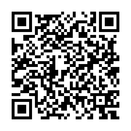 QR code for 6738314