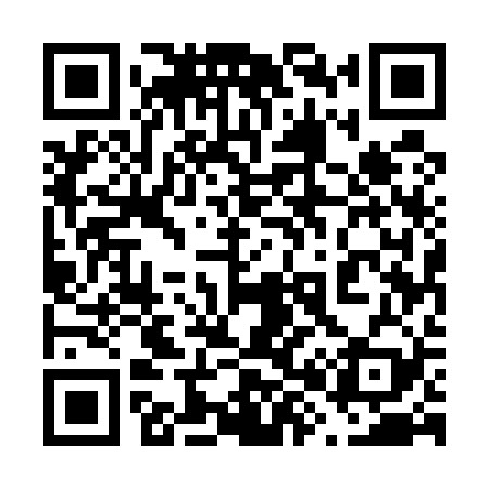 QR code for 685529
