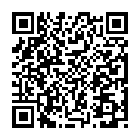 QR code for 6955300