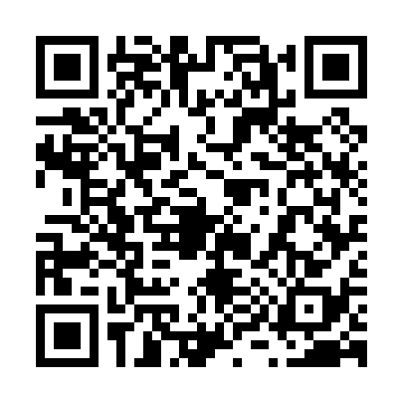 QR code for 6970383