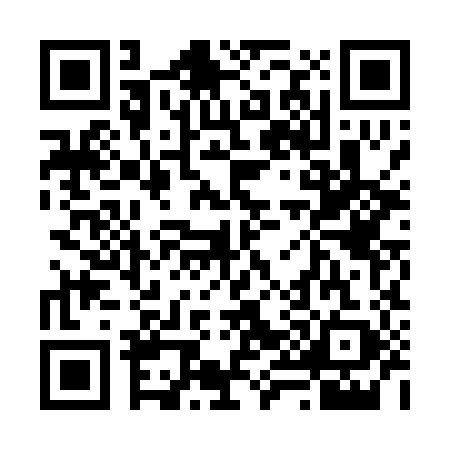 QR code for 6980895