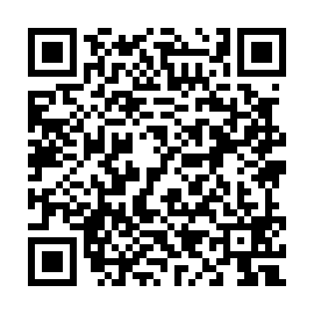 QR code for 6990999