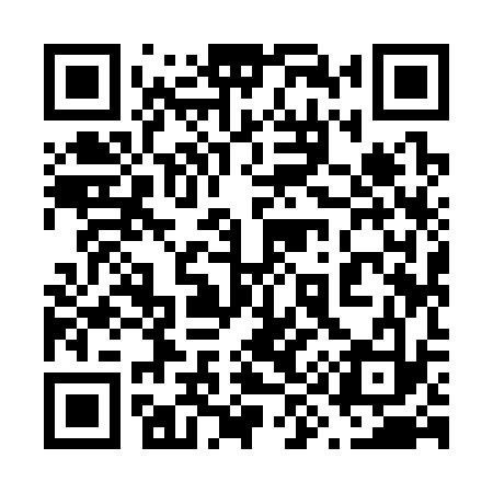 QR code for 699333