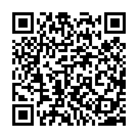 QR code for 700419