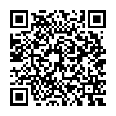 QR code for 7156653