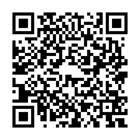 QR code for 7196635