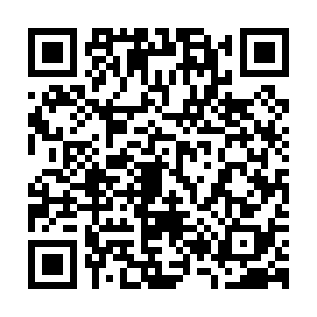 QR code for 7250383