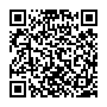 QR code for 728633