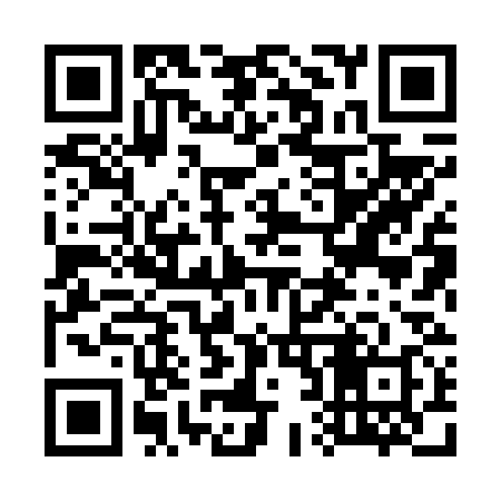 QR code for 728638