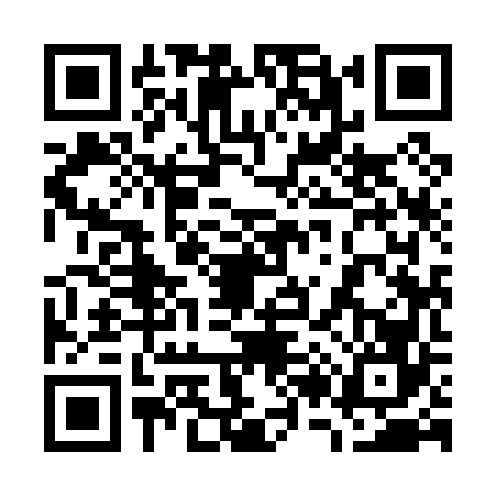 QR code for 7290663