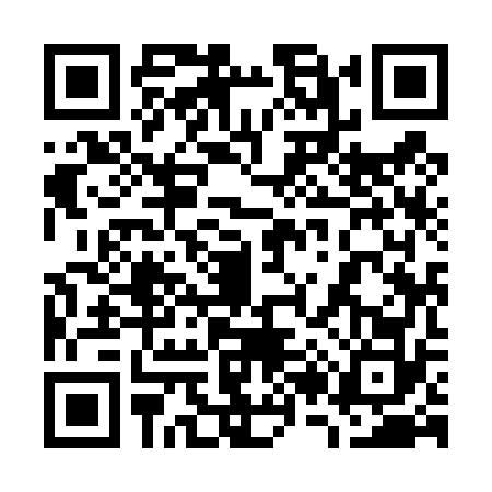 QR code for 7294729