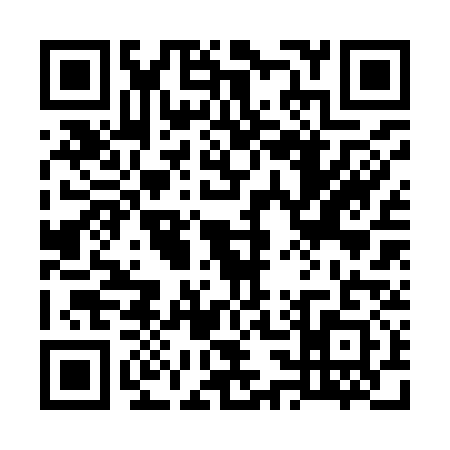 QR code for 7329313