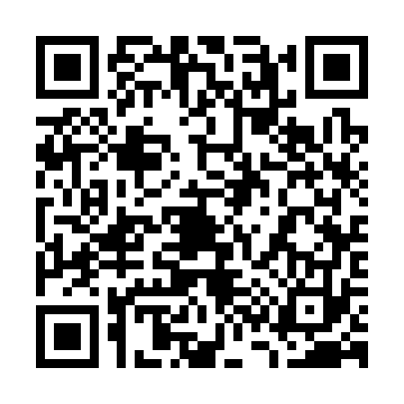 QR code for 7333738