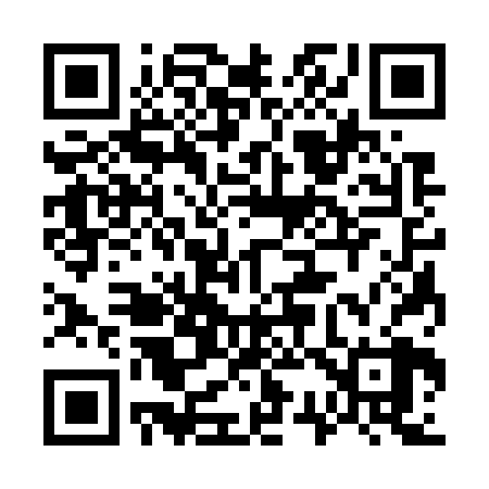 QR code for 733728