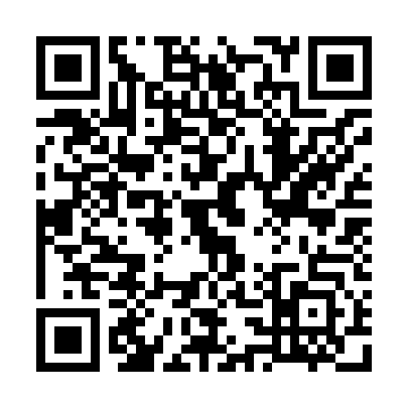 QR code for 7338433