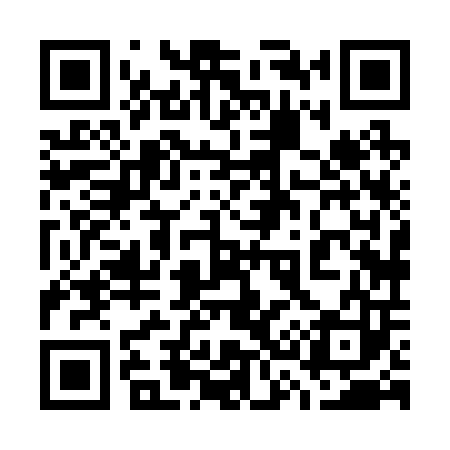 QR code for 738203