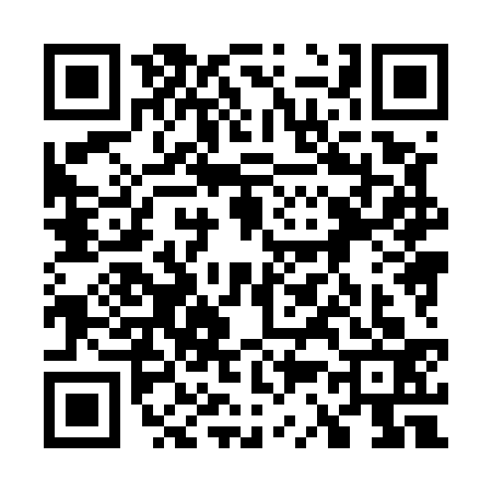 QR code for 7385333