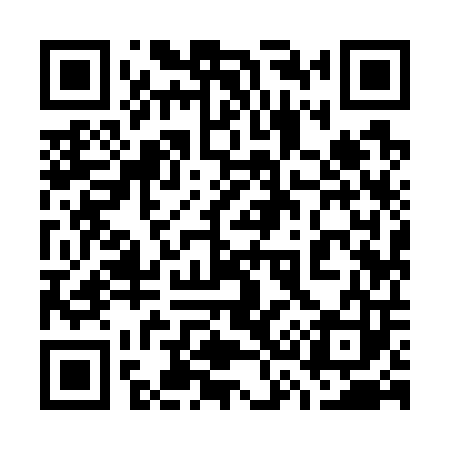 QR code for 739703