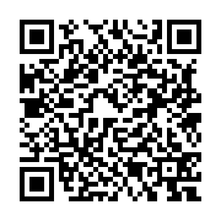 QR code for 7538334