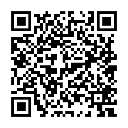 QR code for 8009093