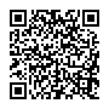 QR code for 8038504