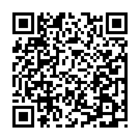 QR code for 8065651
